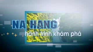 NA HANG HÀNH TRÌNH KHÁM PHÁ -  NẤM HƯƠNG RỪNG