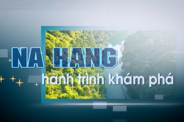 NA HANG HÀNH TRÌNH KHÁM PHÁ -  NẤM HƯƠNG RỪNG