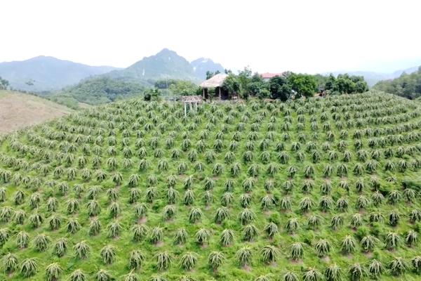 (TTV) Yên Phú phát triển kinh tế từ thế mạnh địa phương