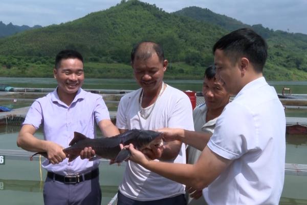 (TTV) Phát triển cá đặc sản gắn với bảo vệ môi trường
