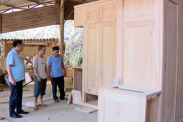 (TTV) Vai trò từ gỗ rừng trồng trong sản xuất kinh doanh