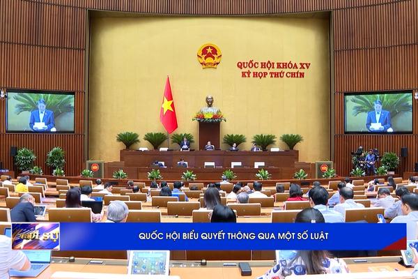 (TTV) Quốc hội biểu quyết thông qua một số Luật