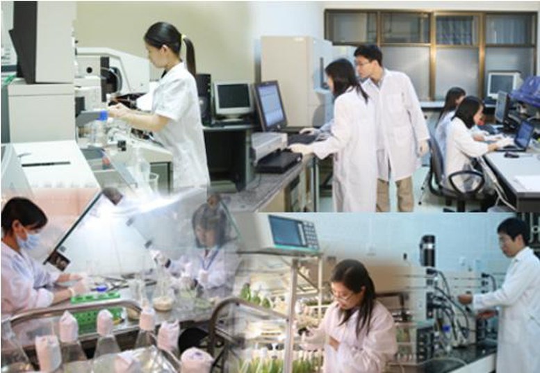 Chức năng, nhiệm vụ của Học viện Chiến lược Khoa học và Công nghệ- Ảnh 1.