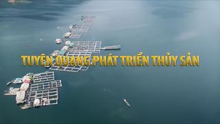 TUYÊN QUANG PHÁT TRIỂN THỦY SẢN (17-6-2025)