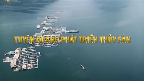 TUYÊN QUANG PHÁT TRIỂN THỦY SẢN (17-6-2025)