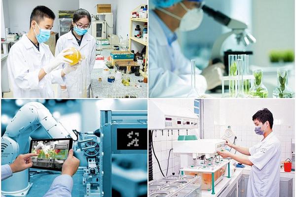 Hướng dẫn sắp xếp, tổ chức lại các đơn vị sự nghiệp công lập lĩnh vực KH&CN