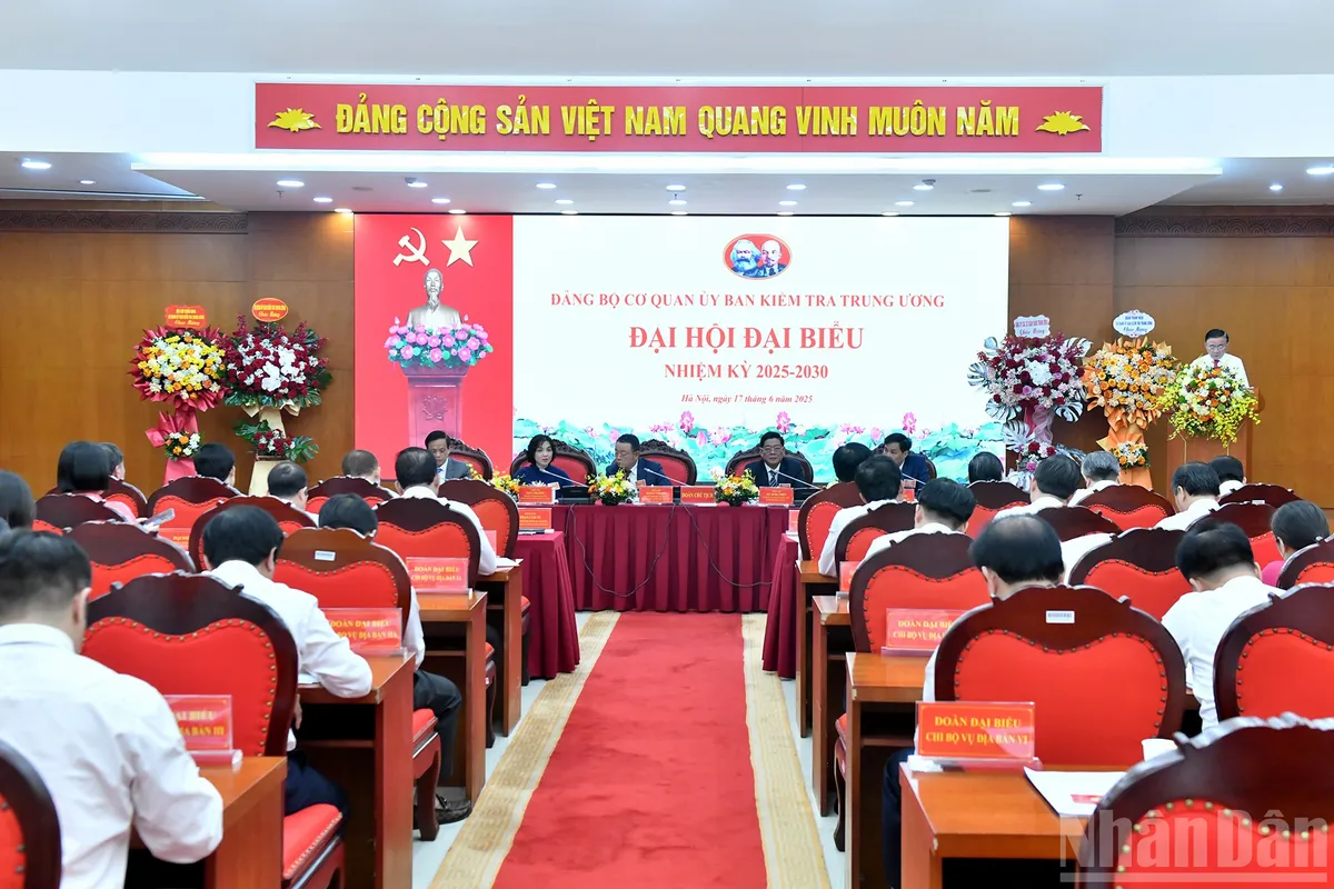 Tiếp tục đổi mới mạnh mẽ công tác kiểm tra Đảng - Ảnh 2.