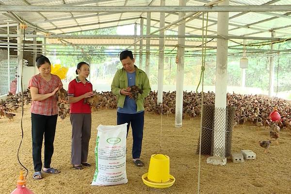 (TTV) Đòn bẩy giúp người dân vươn lên thoát nghèo bền vững