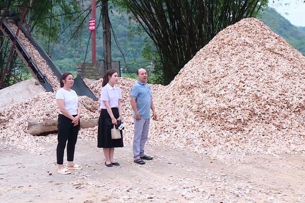 (TTV) Nông thôn mới bền vững nhờ sức dân