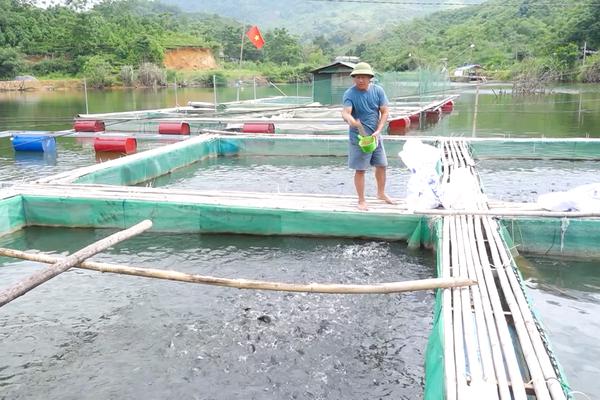 (TTV) Phát triển thủy sản theo hướng hiệu quả, bền vững