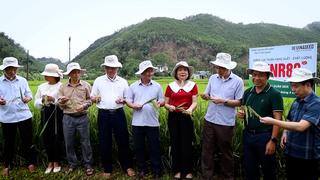 CẦU NỐI CHUYỂN GIAO KỸ THUẬT CHO NÔNG DÂ