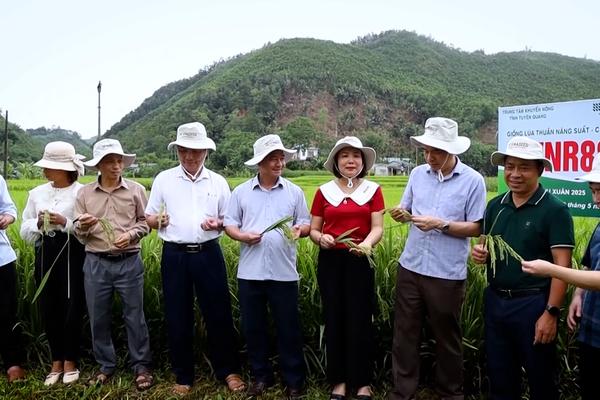 CẦU NỐI CHUYỂN GIAO KỸ THUẬT CHO NÔNG DÂ