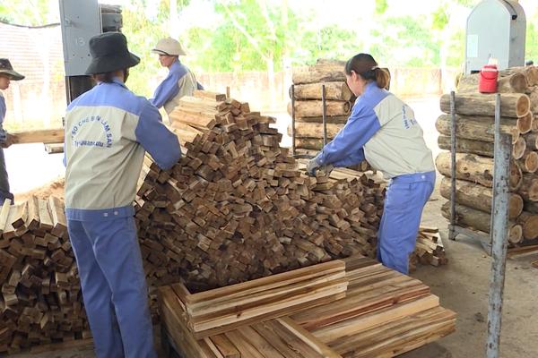 (TTV) Có hơn 26.000 người ở Sơn Dương được tạo việc làm