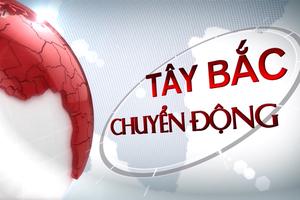 TÂY BẮC CHUYỂN ĐỘNG (29-6-2025)