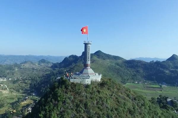 HÒA CHUNG NHỊP ĐẬP TRÁI TIM