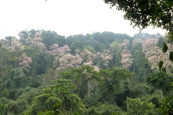 (TTV) Khám phá suối đá đỏ
