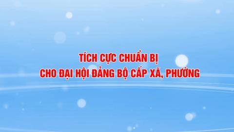TÍCH CỰC CHUẨN BỊ CHO ĐẠI HỘI ĐẢNG BỘ CẤP XÃ, PHƯỜNG