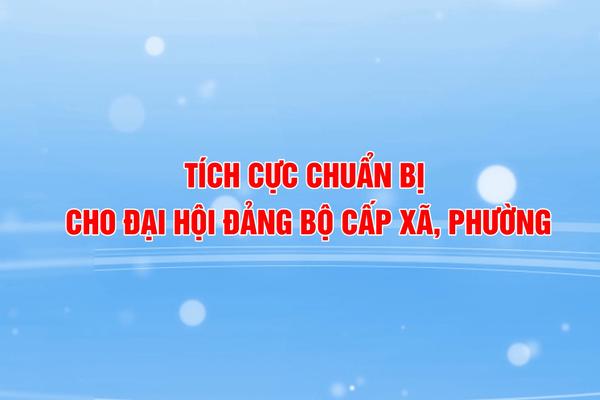 TÍCH CỰC CHUẨN BỊ CHO ĐẠI HỘI ĐẢNG BỘ CẤP XÃ, PHƯỜNG