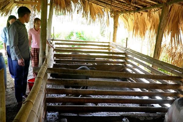 (TTV) Hiệu quả Chương trình mục tiêu quốc gia phát triển kinh tế - xã hội vùng đồng bào dân tộc thiểu số ở Tân Mỹ