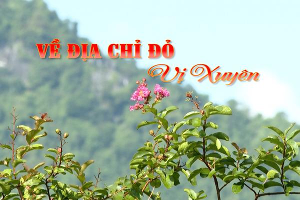 VỀ ĐỊA CHỈ ĐỎ VỊ XUYÊN (18-7-2025)