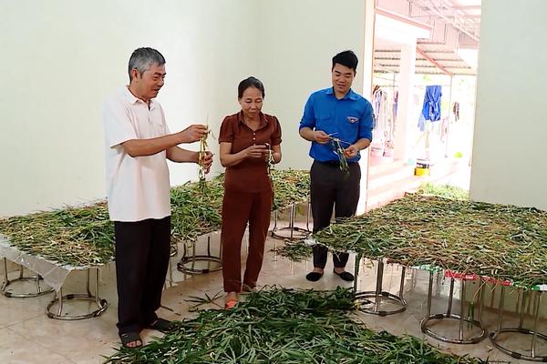 (TTV) Tổ hợp tác – Điểm tựa giúp người dân phát triển kinh tế