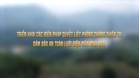 TRIỂN KHAI CÁC BIỆN PHÁP QUYẾT LIỆT PHÒNG CHỐNG THIÊN TAI ĐẢM BẢO AN TOÀN LƯỚI ĐIỆN MÙA MƯA BÃO (21-7-2025)