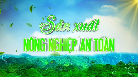 SẢN XUẤT NÔNG NGHIỆP AN TOÀN - MÔ HÌNH TRỒNG NA TRÊN NÚI ĐÁ