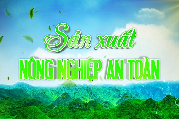 SẢN XUẤT NÔNG NGHIỆP AN TOÀN - MÔ HÌNH TRỒNG NA TRÊN NÚI ĐÁ