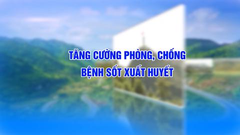TĂNG CƯỜNG PHÒNG, CHỐNG BỆNH SỐT XUẤT HUYẾT